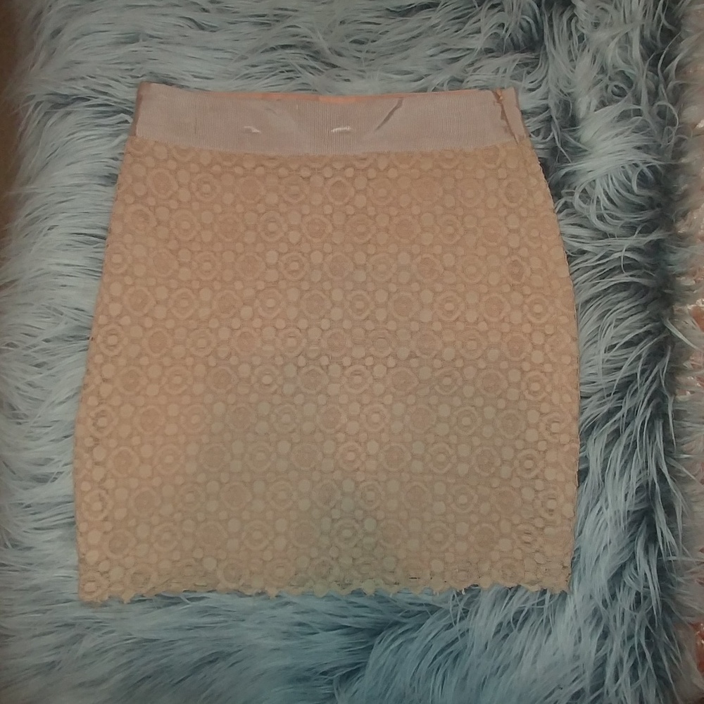 Light Pink Lace Skirt
